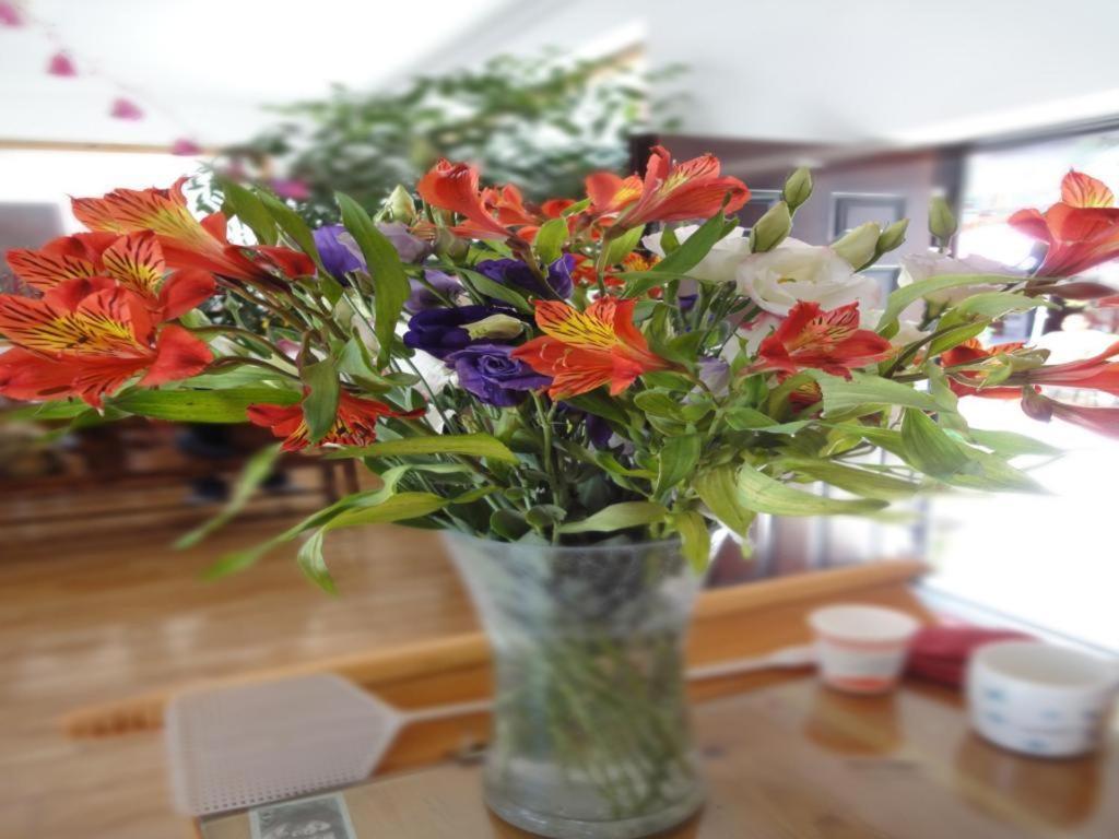 Dali Four Season Flower Inn Dali (Yunnan) Extérieur photo